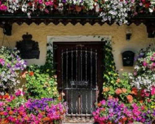 Meine Haustür aus Holz - Meine Haustür aus Holz